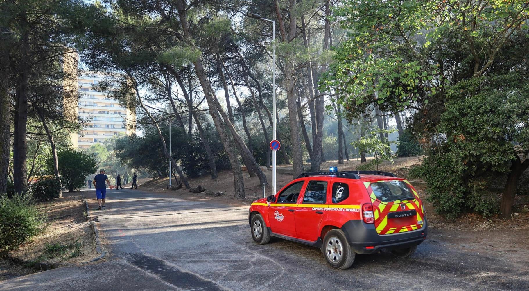 MONTPELLIER : Feu de végétation dans les hauts de Massane.