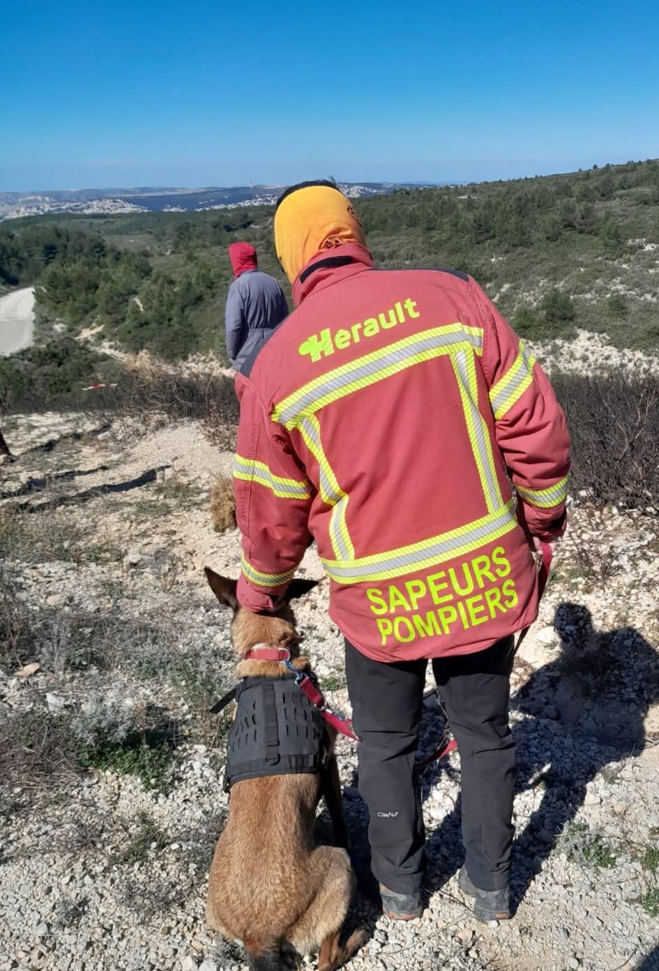 HÉRAULT : Upsy et Nala, les nouveaux chiens du SDIS 34 à l’assaut des incendies criminels.