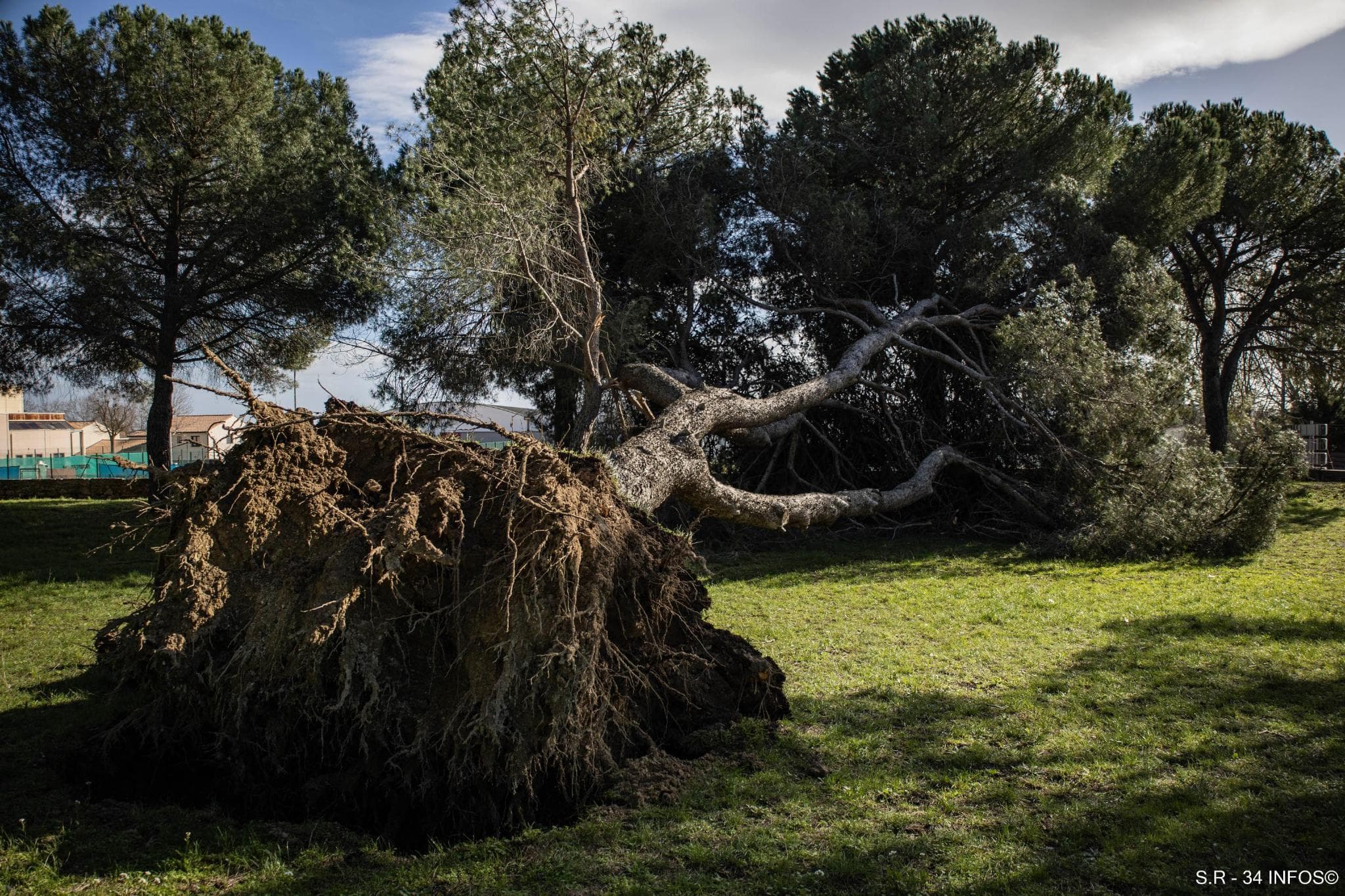 ALERTE MÉTÉO : L’Hérault placé en vigilance orange pour vents violents ce jeudi
