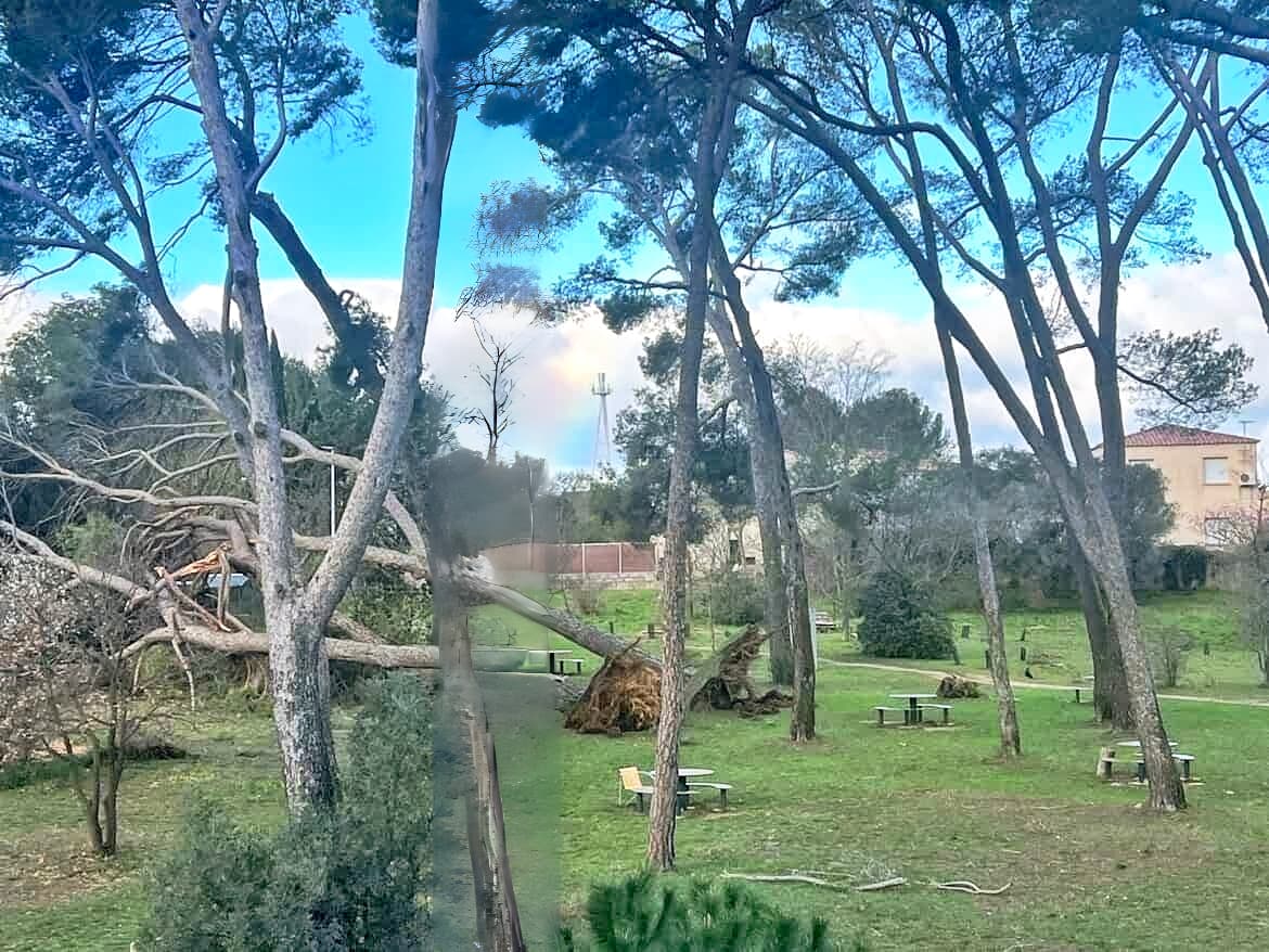 ALERTE MÉTÉO : L’Hérault balayé par des vents violents, 15 000 foyers privés d’électricité