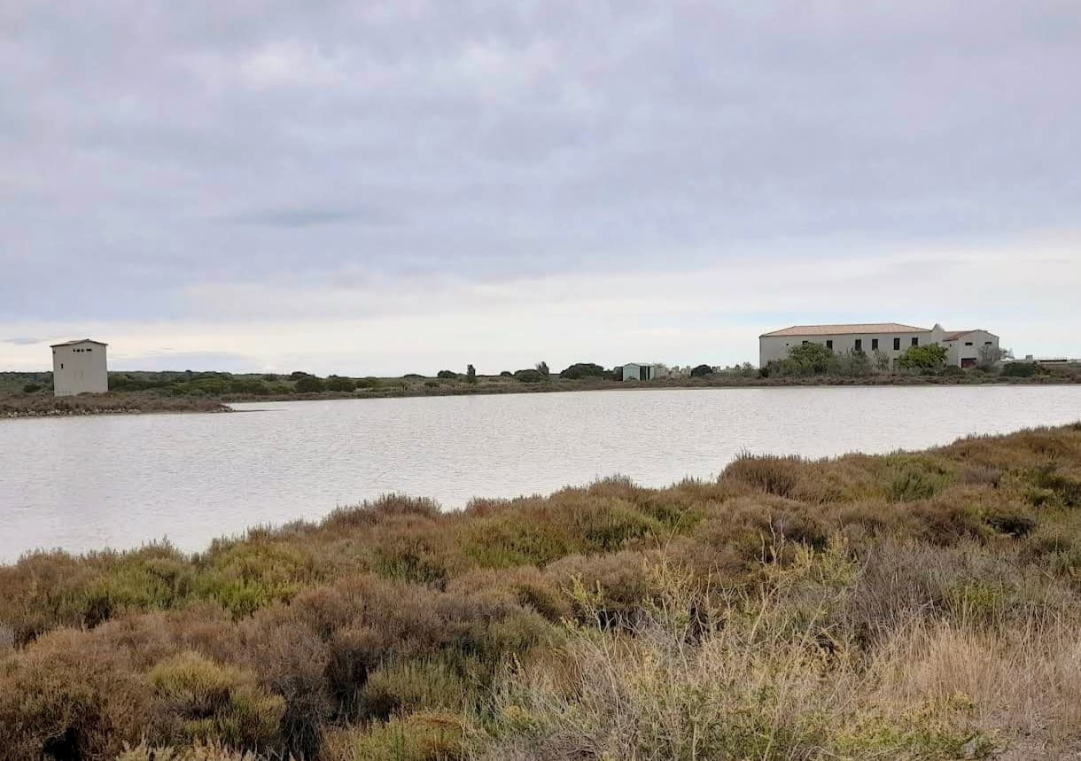 FRONTIGNAN : Le corps de la jeune Maddy, 18 ans, retrouvé sans vie aux Salins