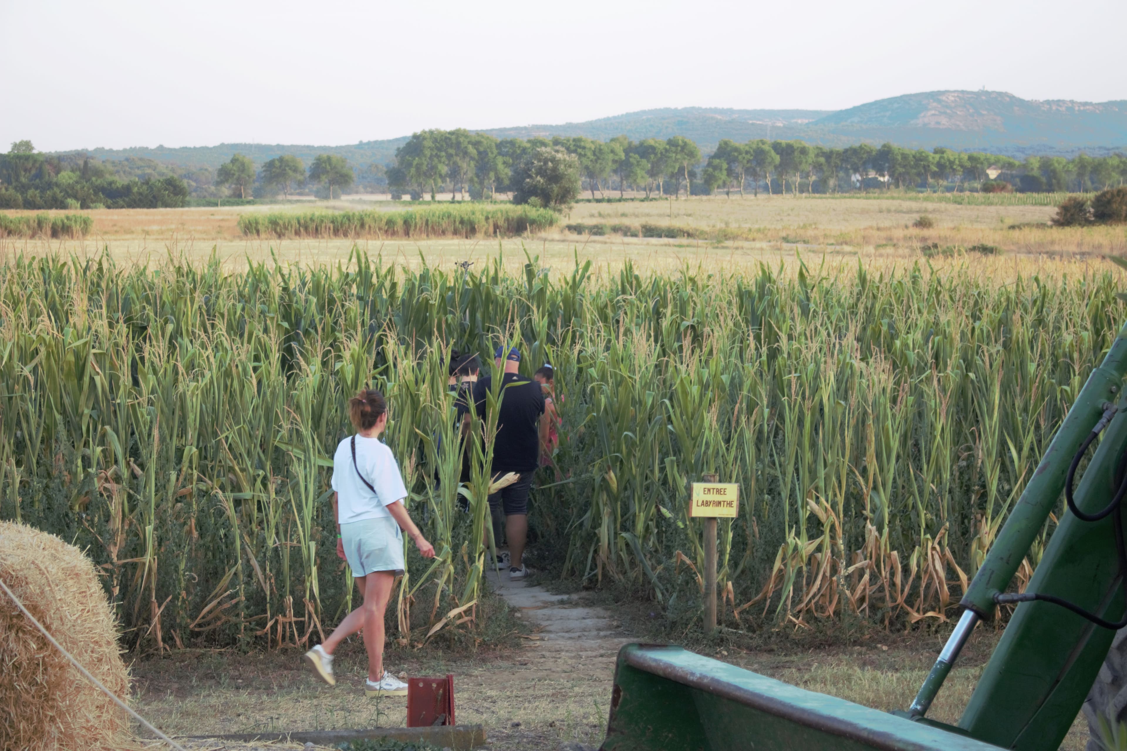 Fabrègues : Un labyrinthe XXL au domaine de Launac